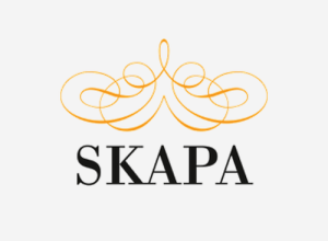 County winners of SKAPA-Talang for young innovators